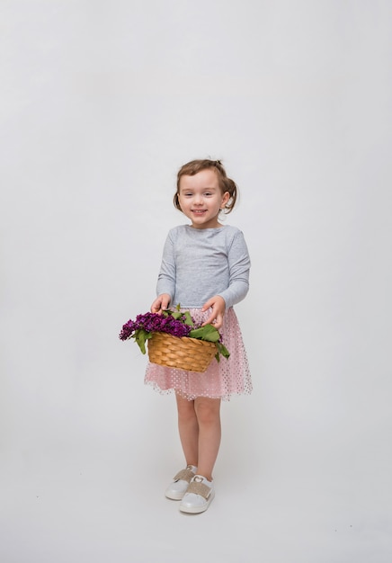 A full-length photo of a little girl with a basket of lilacs. Cute girl in a grey dress with a tail on a white space.Copy space