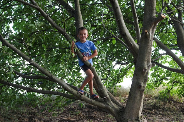 Photo full length portrait of boy in forest