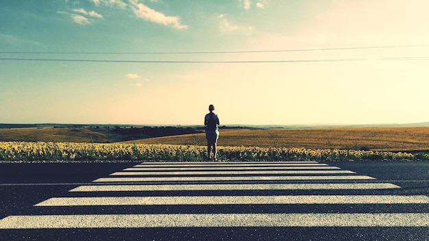 Full length rear view of woman standing by zebra crossing against sky during sunny day