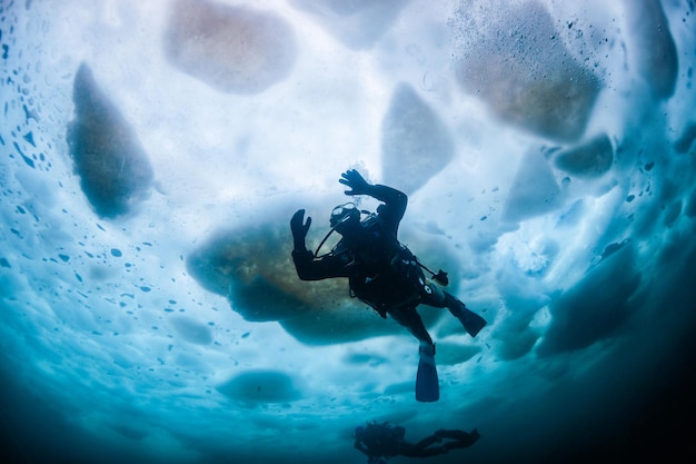 Photo full length of scuba divers swimming in frozen sea