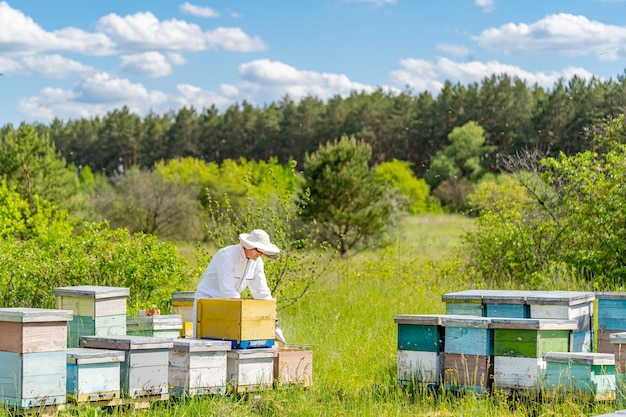 Full length view of the beekeeper working on landscapes with confident expression Agrarian natural summer honeycombs concept