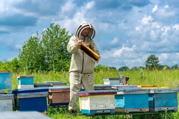 Foto vista a tutta lunghezza dell'apicoltore che lavora su paesaggi con espressione sicura concetto di favi estivi naturali agrari