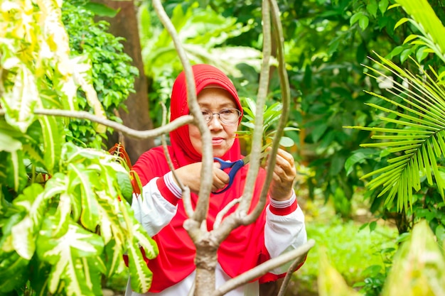 Full length of woman holding chocolate while standing outdoors