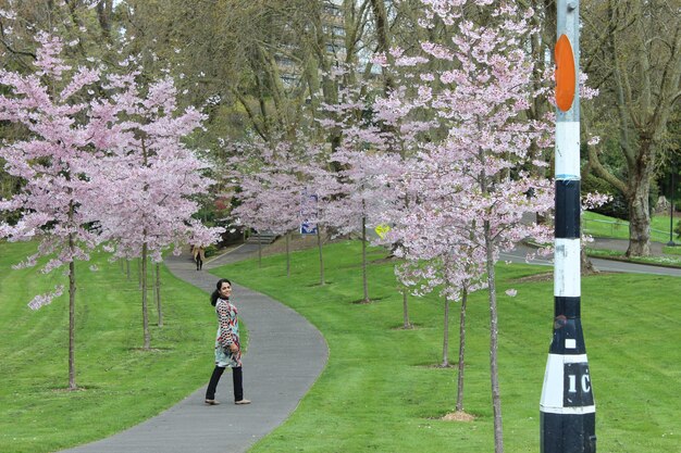 Photo full length of woman standing amidst cherry blossom trees