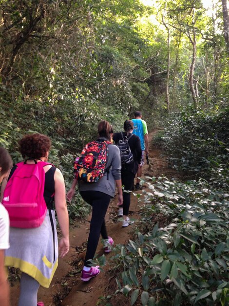 Foto lunghezza completa di una donna in piedi nella foresta