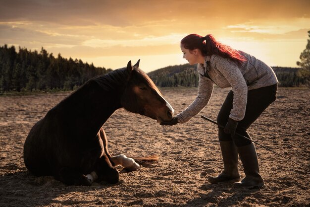 Foto lunghezza completa di donna che tocca il cavallo sul campo contro il cielo