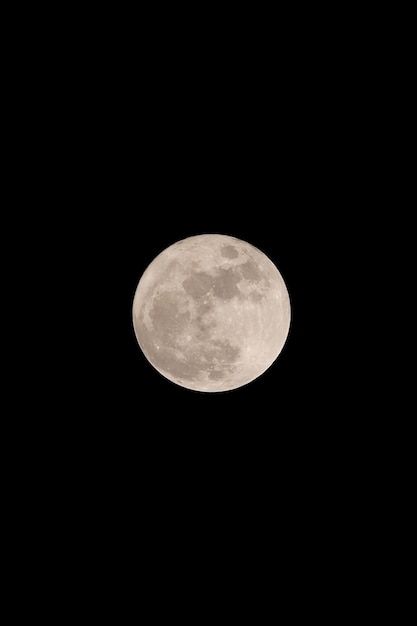 Luna piena nella notte oscura in composizione verticale