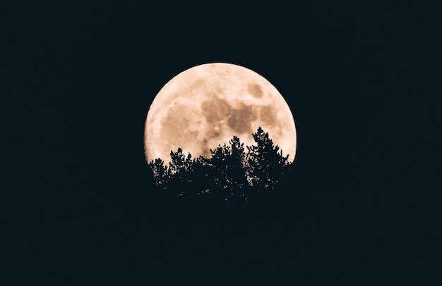 Photo full moon in dark night