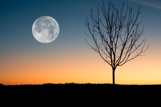 Photo full moon on a daybreak