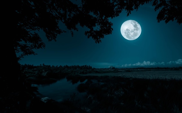 A full moon is seen over a river.