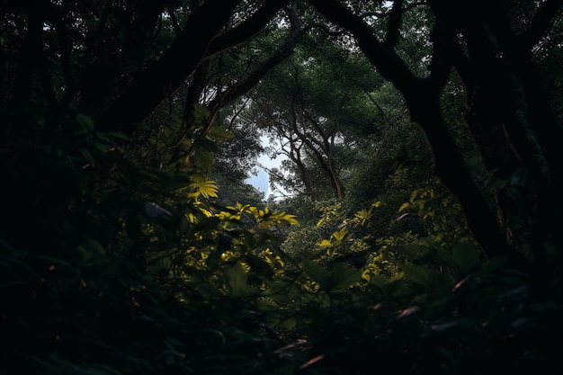 Full moon peeking through dense forest canopy