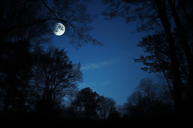 보름달이 어두운 하늘 위에 아오르고