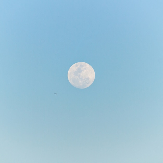 Full moon rising in the sky