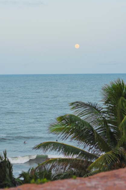 Foto luna piena e mare