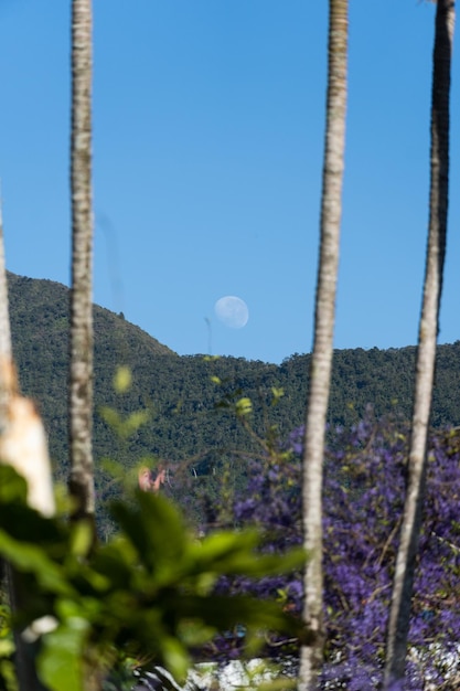 テレゾポリス リオデジャネイロ ブラジルの日の出の丘のそばの満月の設定 朝の周りの木々と自然 セレクティブ フォーカス