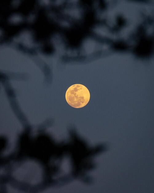 full moon at sunset