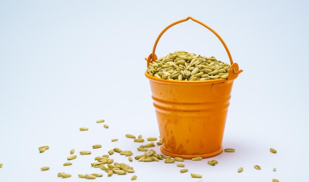 full orange bucket with wheat  grain harvest on white background