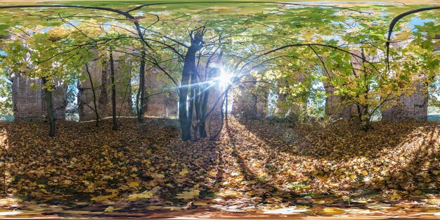 Full seamless spherical cube 360 by 180 degrees angle view panorama inside ancient abandoned destroyed stone tomb in autumn forest in equirectangular projection Ready for VR AR content