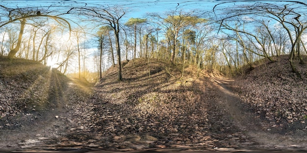 Full seamless spherical panorama 360 degrees angle view in treecovered ravine in forest with sun rays equirectangular projection pedestrian footpath in forest ready VR AR virtual reality content