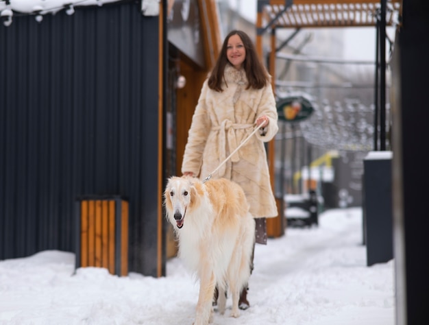 写真 かわいいグレイハウンド犬とフルショットの女性