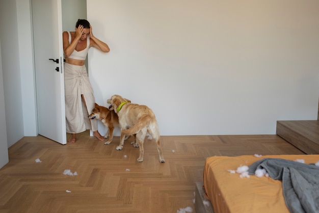 Photo full shot worried woman looking at dogs