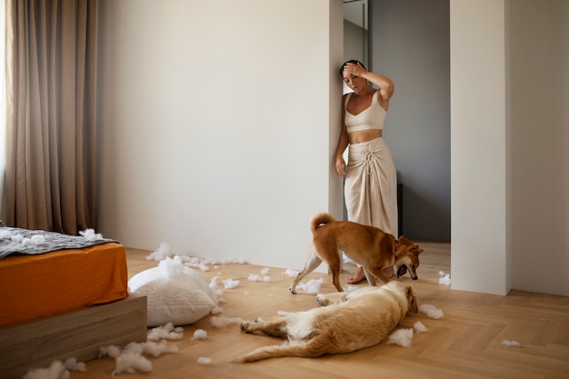 Foto donna preoccupata a tutto campo che guarda i cani