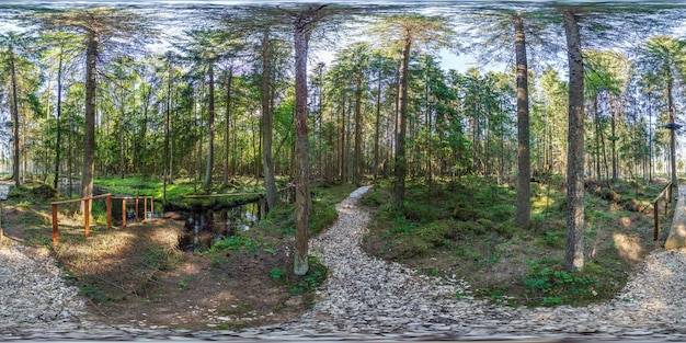 Full spherical hdri 360 panorama view on gravel pedestrian road in pinery forest in equirectangular projection VR AR content