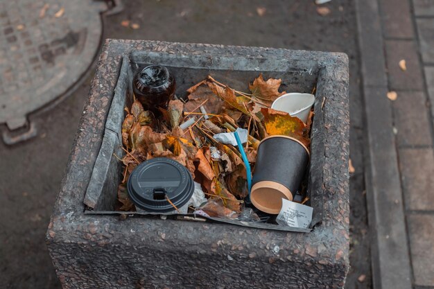 Full trash can in the park City street cleaning