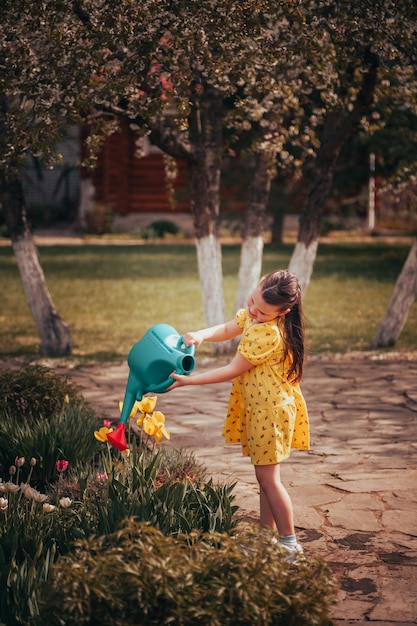 Fulllength portrait of a girl in a yellow dress watering tulips from a watering can in a garden with...