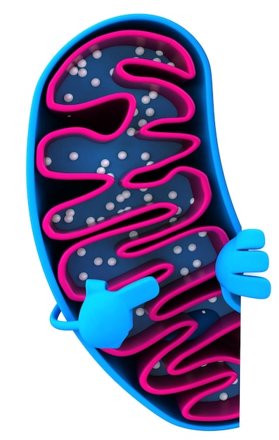 Photo fun 3d cartoon mitochondria character