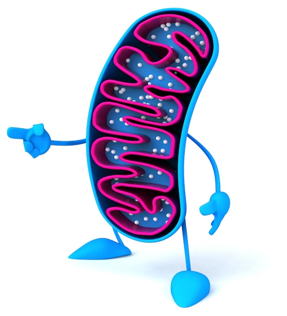 Fun 3D cartoon mitochondria character