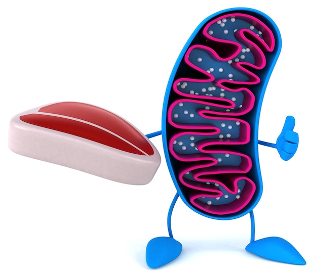Photo fun 3d cartoon mitochondria character