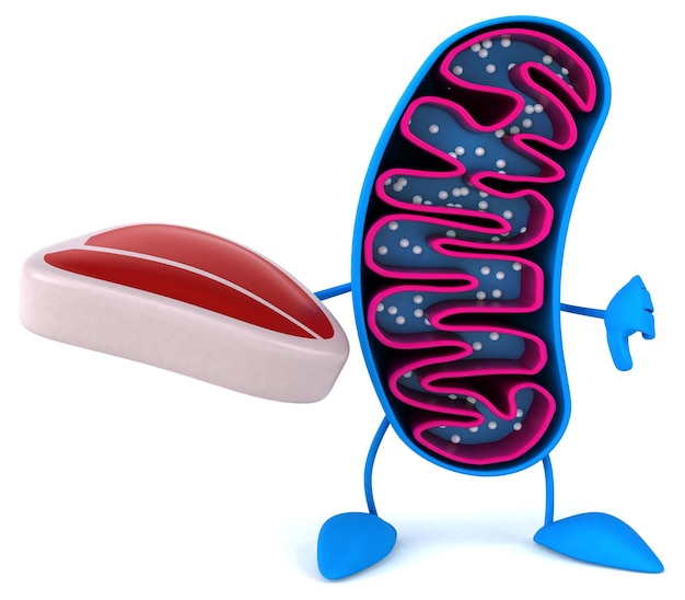 Fun 3D cartoon mitochondria character