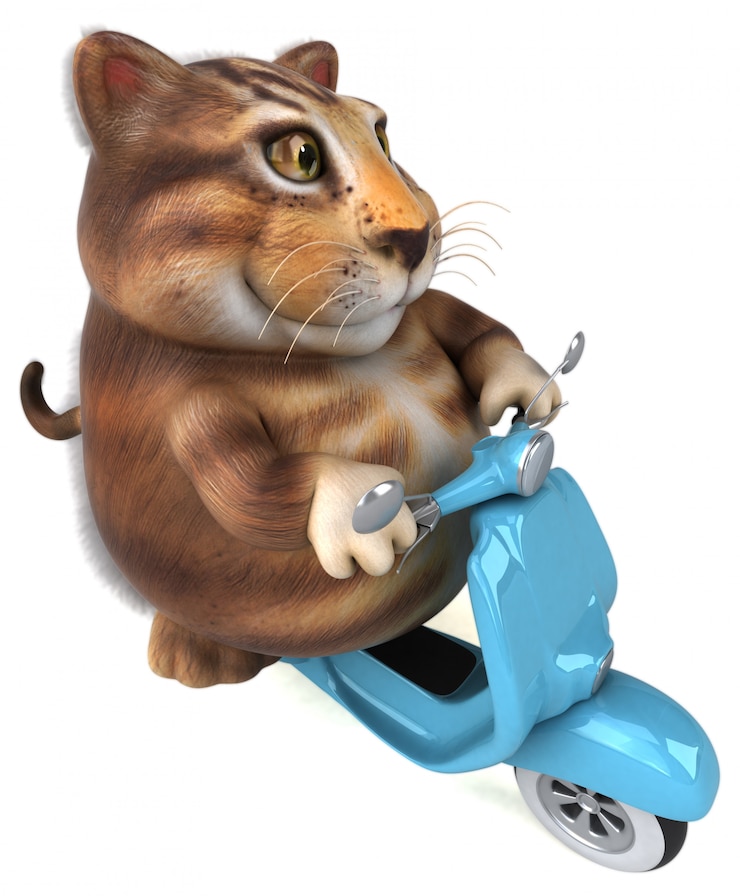 Фотография забавный кот - 3d иллюстрации