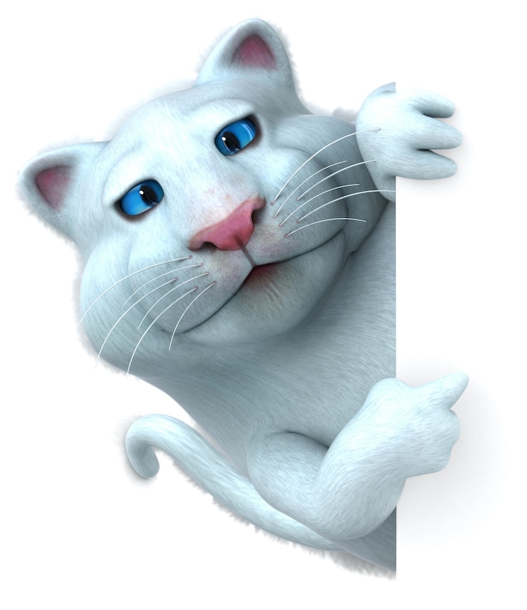 Фотография забавный кот - 3d иллюстрации