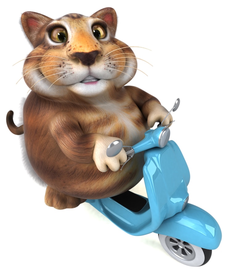 Фотография забавный кот - 3d иллюстрации