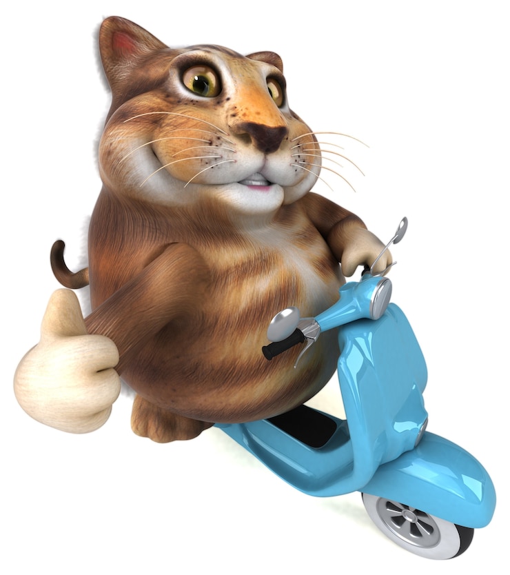 Фотография забавный кот - 3d иллюстрации