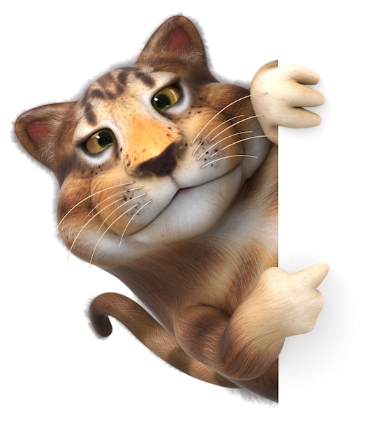 Photo fun cat animation