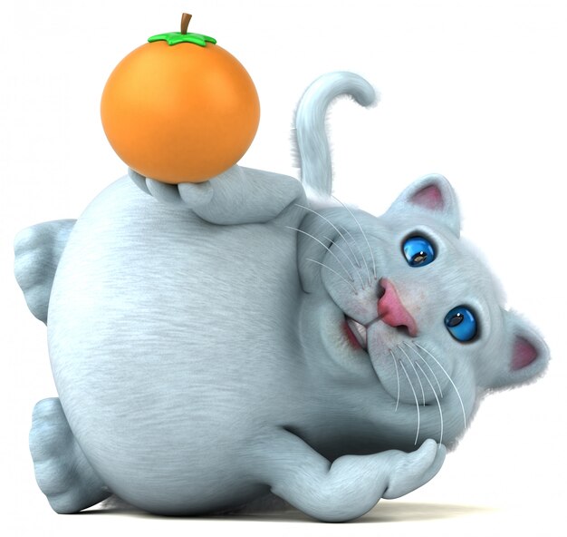 Fun cat with orange fruit