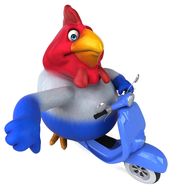 fun chicken illustration