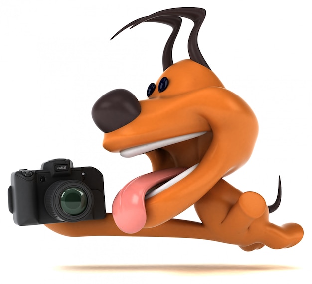 Fun dog animation