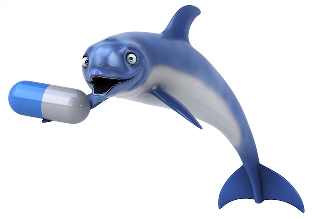 Fun dolphin animation