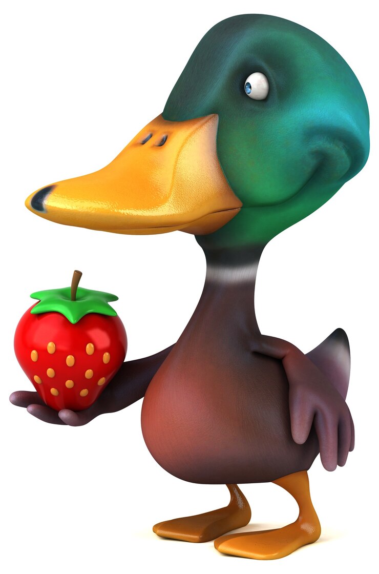 Photo fun duck illustration