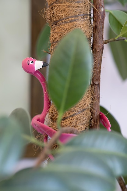 Fun flamingo plant holder holds ficus