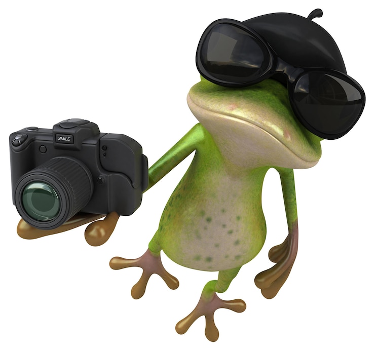 Photo 楽しいフランスのカエル-3dイラスト