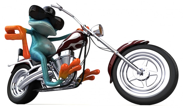 Photo fun frog - 3d illustration