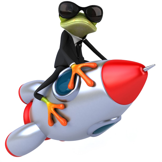 Fun frog on a rocket