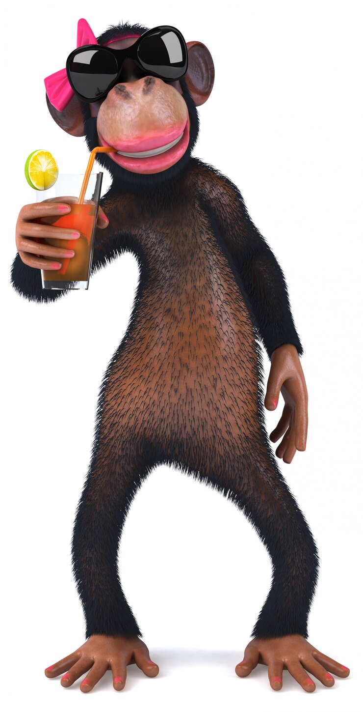 Photo fun monkey