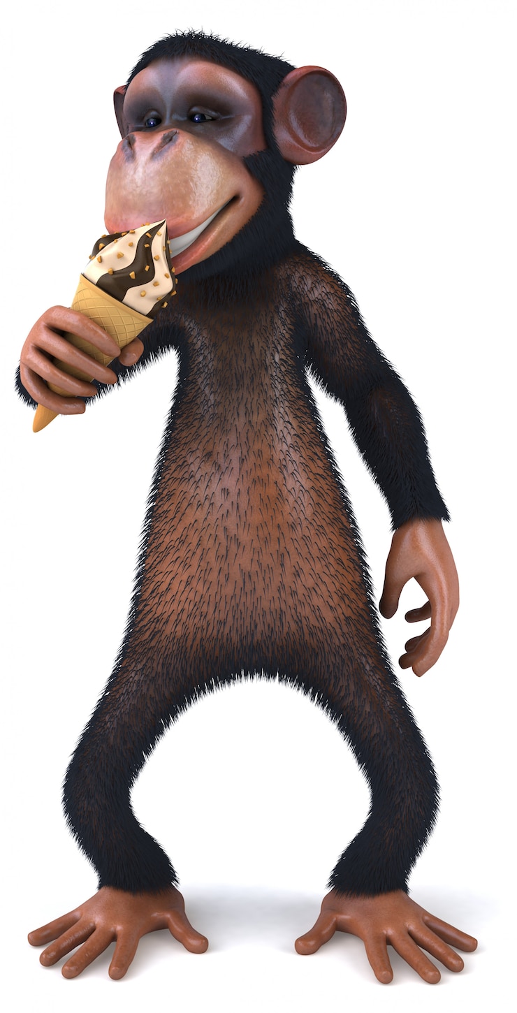 Photo fun monkey