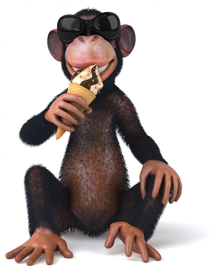 Photo fun monkey